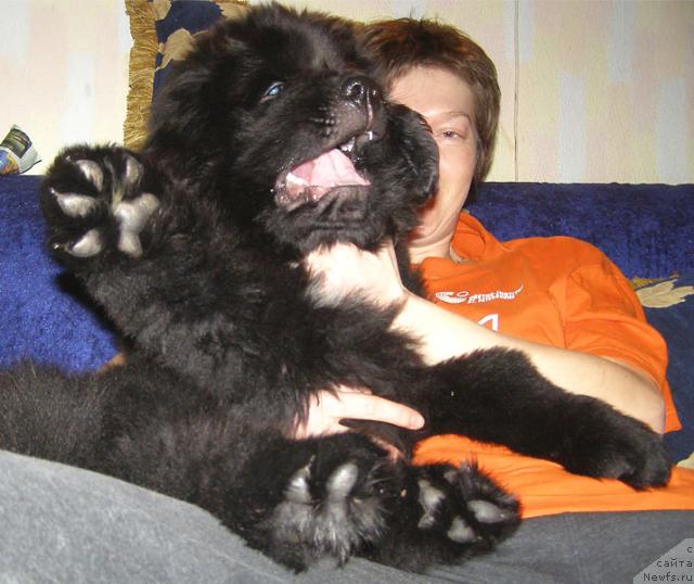 Фото: Бегущая по волнам Лет ит Би - Лукас