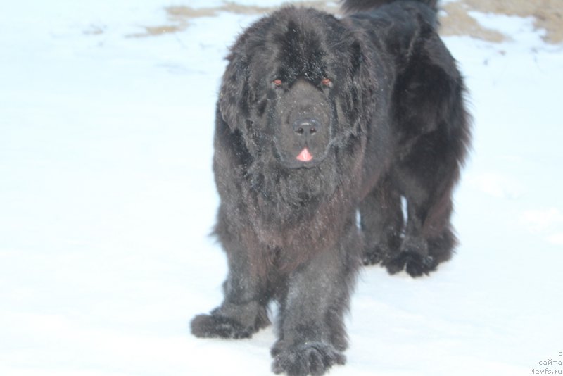 Фотография № 224395