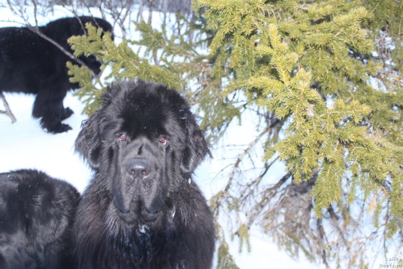 Фотография № 224396