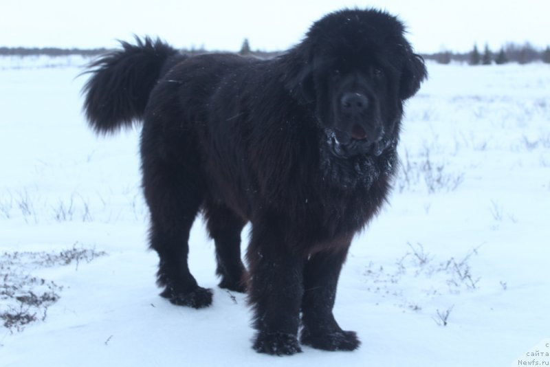 Фотография № 224397