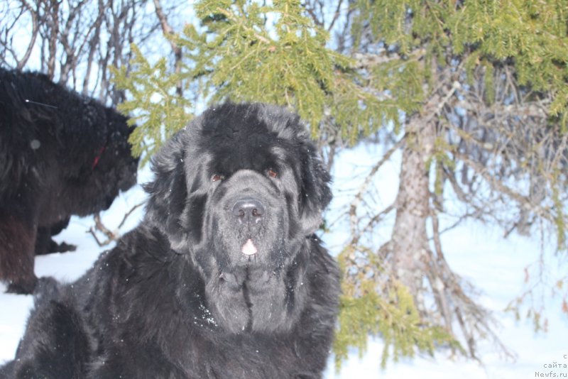 Фотография № 224398