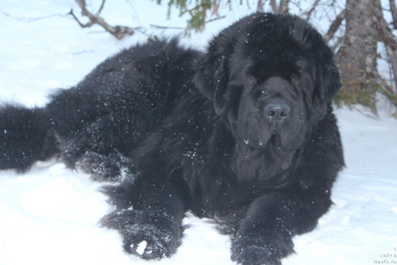 Фотография № 224399