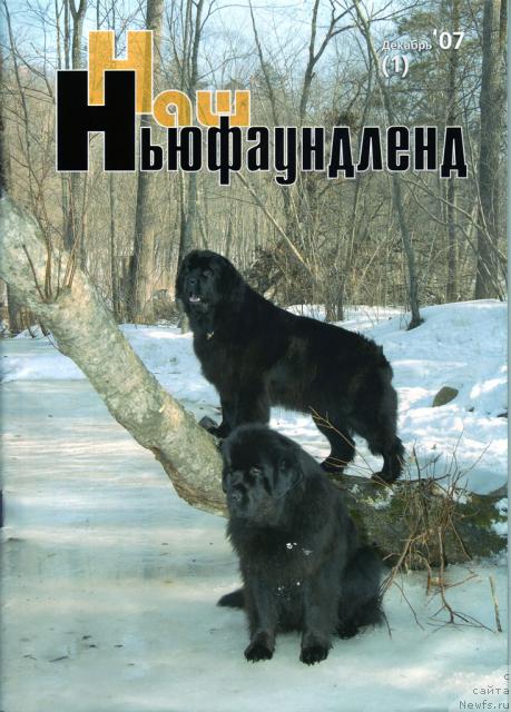 Фотография № 22440