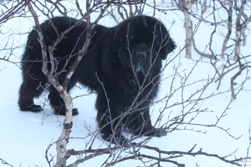 Фотография № 224400