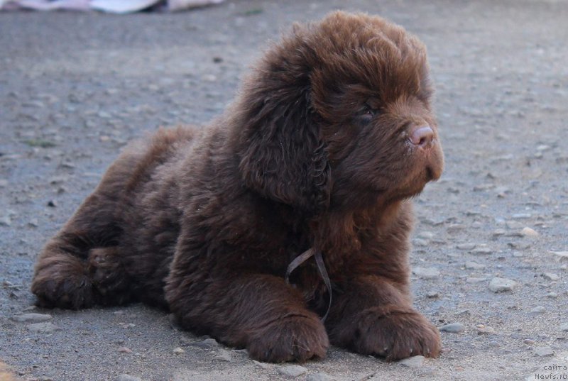 Фотография № 224410