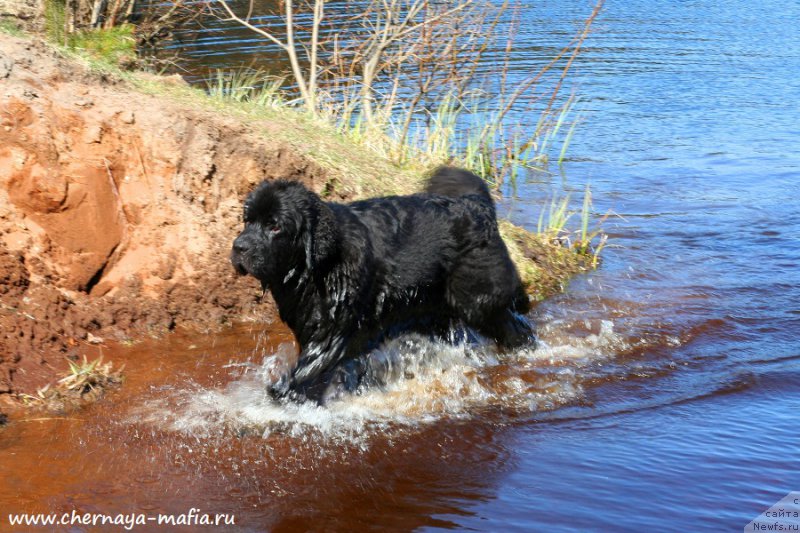 Фотография № 224424