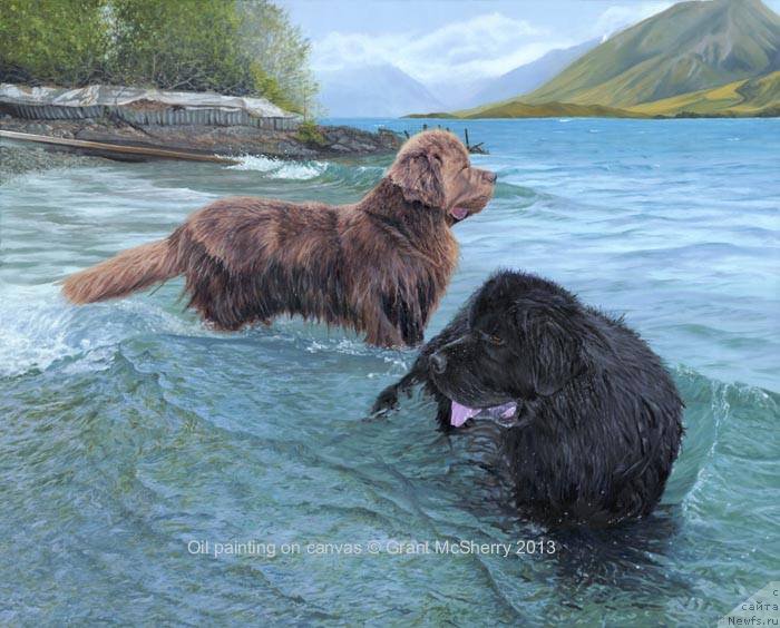 Фотография № 224432