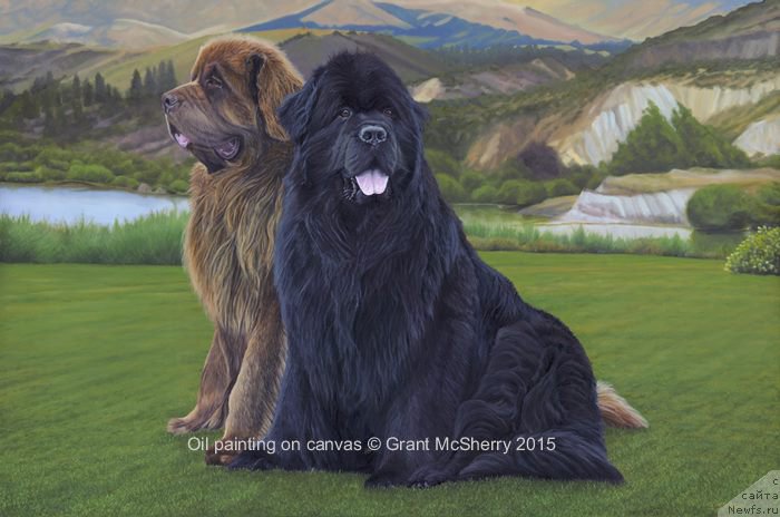 Фотография № 224433