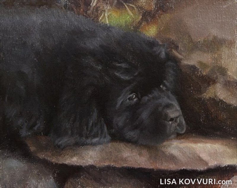 Фотография № 224463