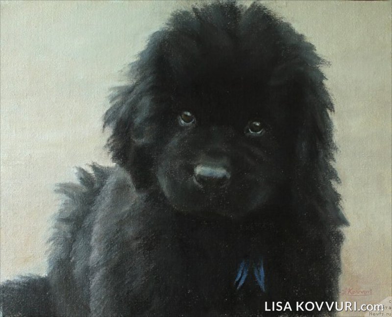 Фотография № 224469