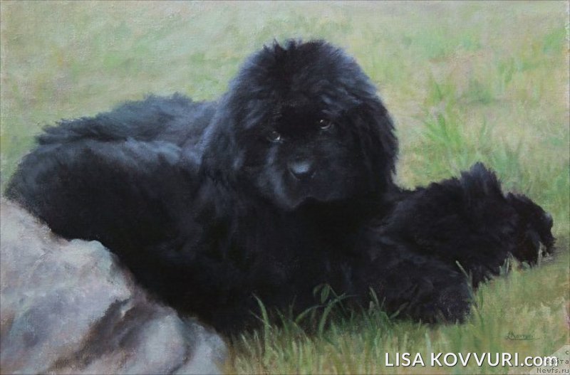 Фотография № 224470