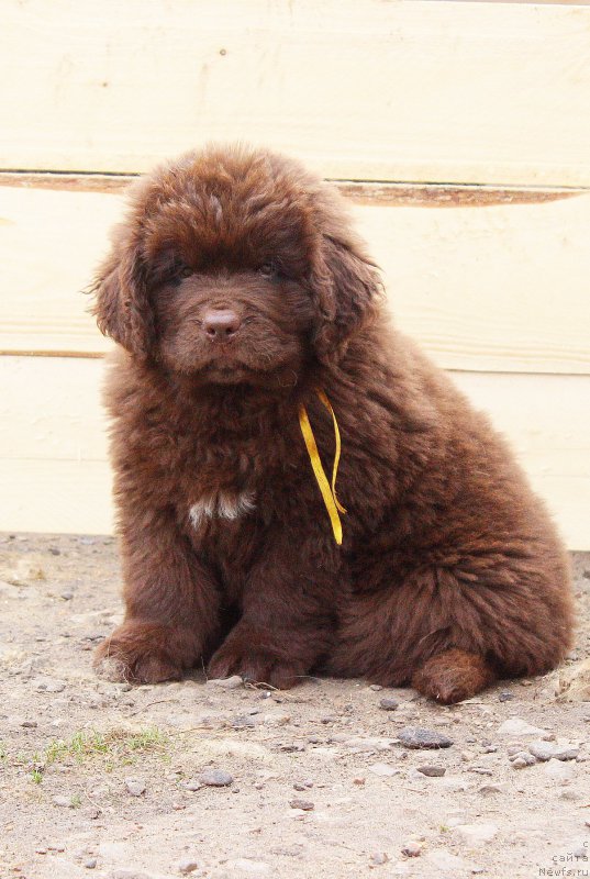 Фотография № 224478