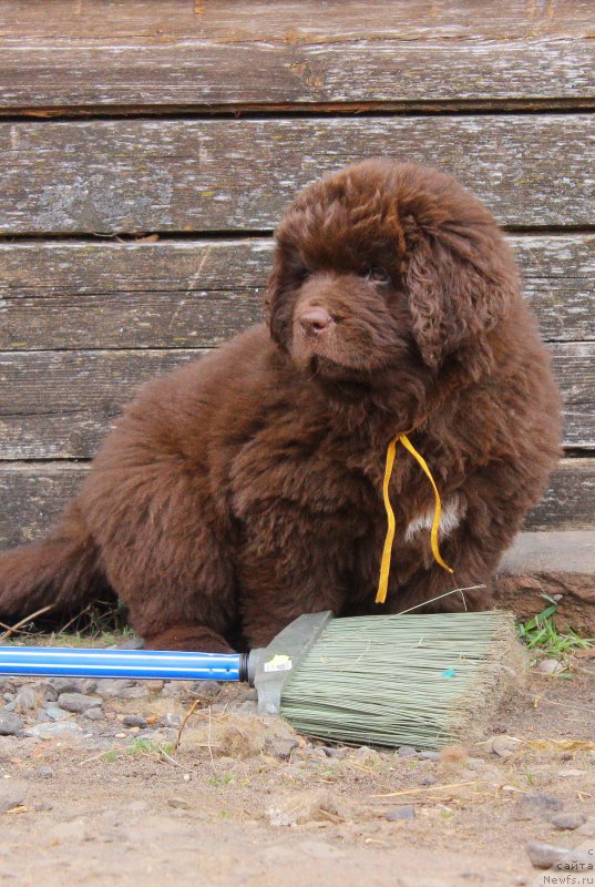 Фотография № 224480