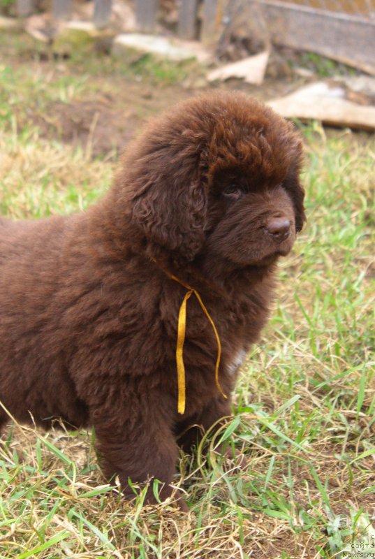 Фотография № 224481