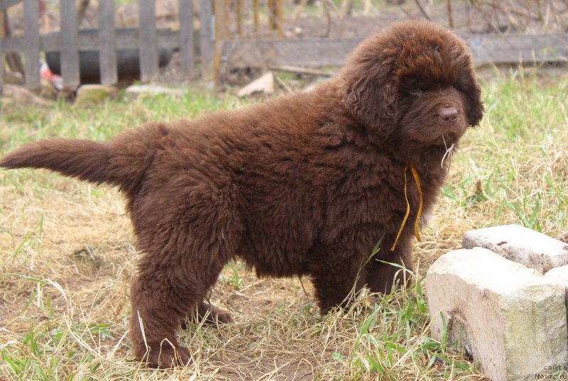 Фотография № 224483