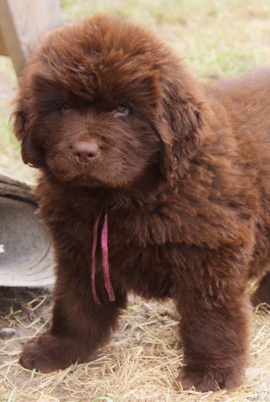 Фотография № 224498