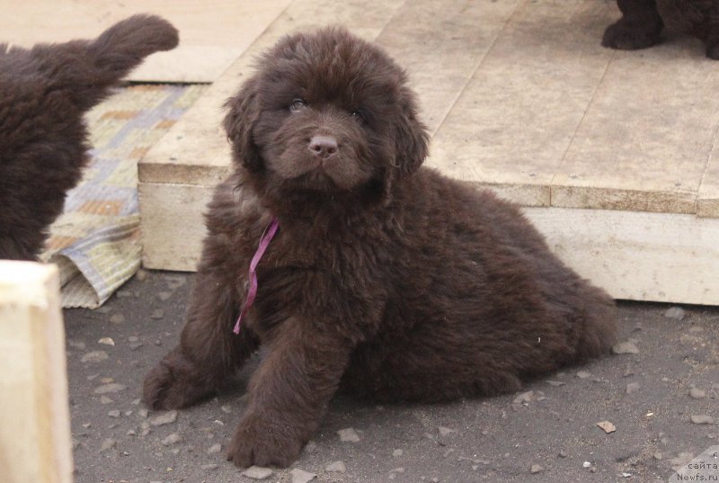 Фотография № 224499