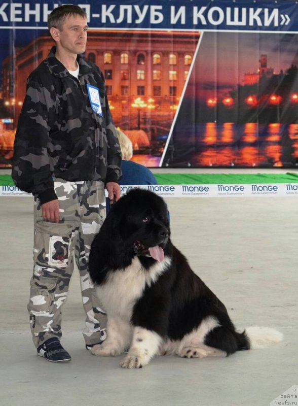 Фотография № 224507