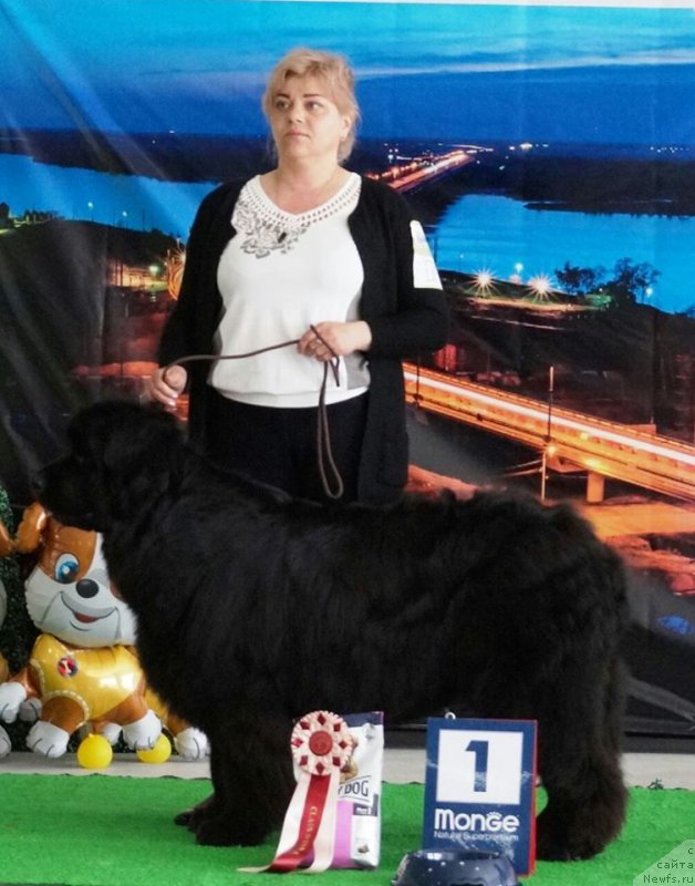 Фотография № 224508