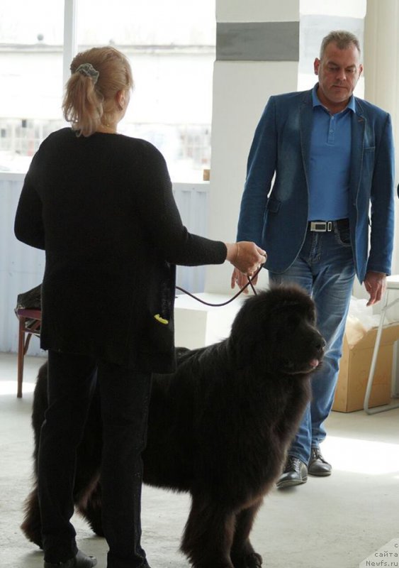 Фотография № 224509