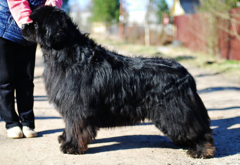 Фотография № 224517