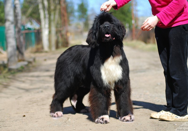 Фотография № 224520