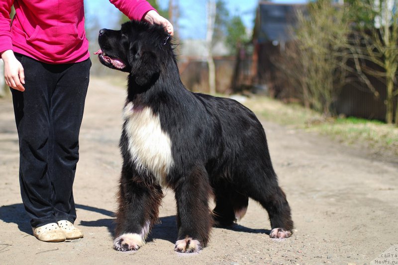 Фотография № 224521