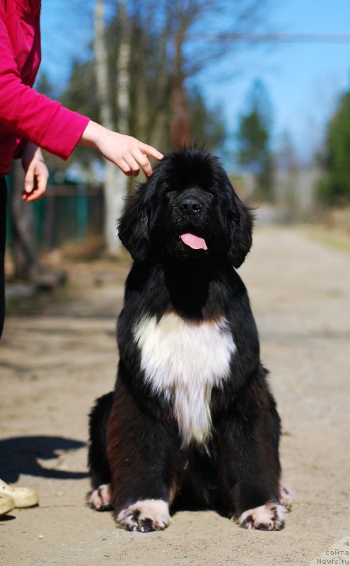 Фотография № 224522