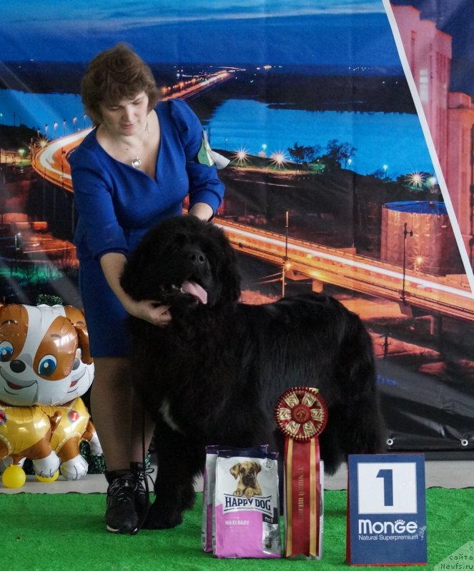 Фотография № 224526