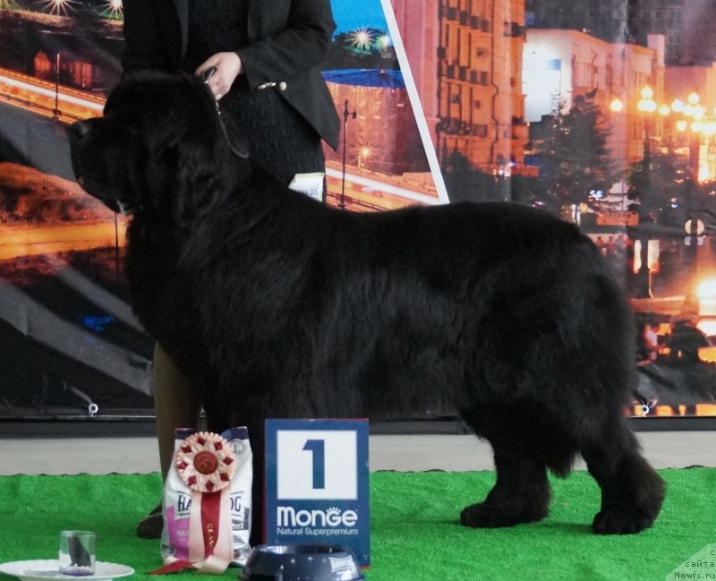 Фотография № 224529