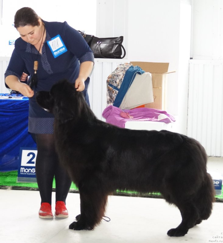 Фотография № 224530