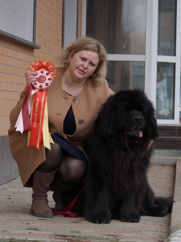 Фотография № 224532