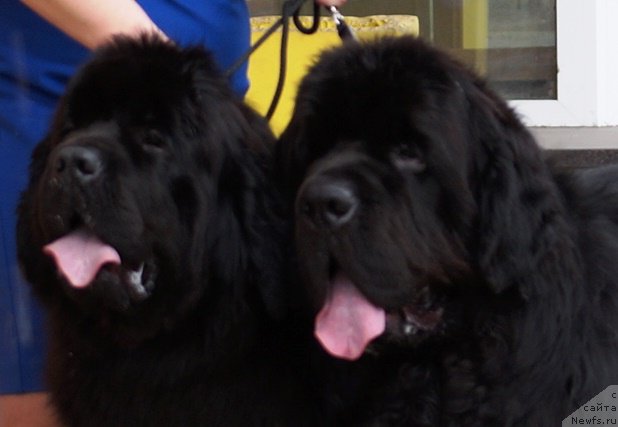 Фотография № 224533