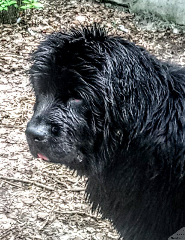 Фотография № 224540