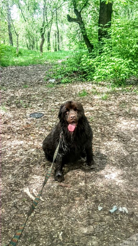 Фотография № 224541