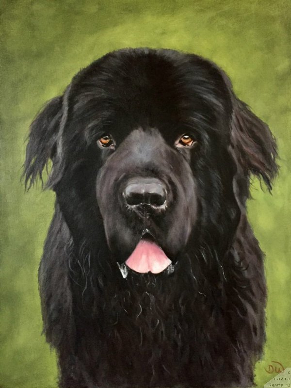 Фотография № 224561