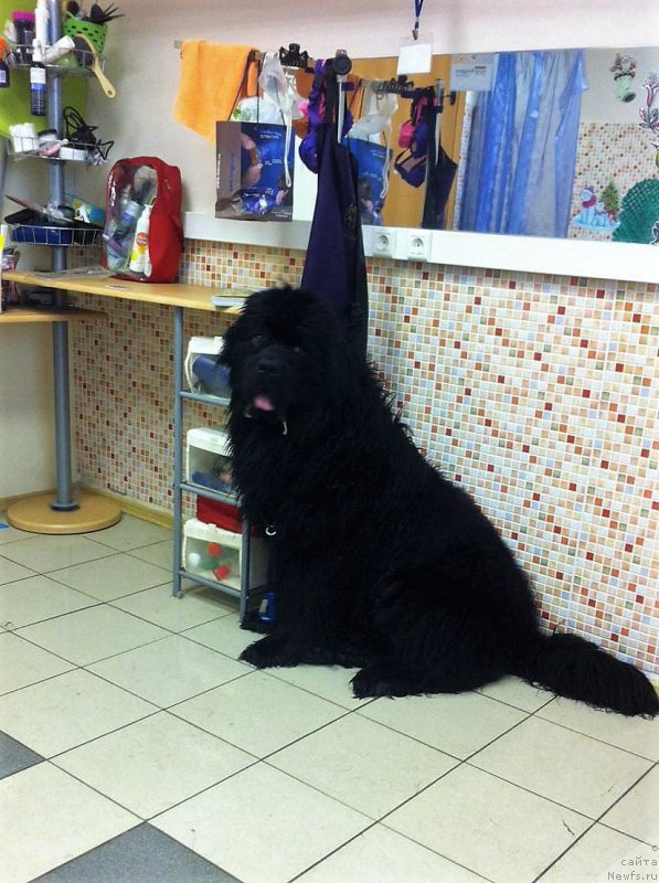 Фотография № 224568