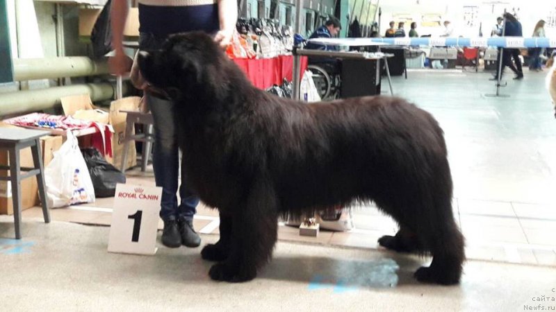 Фотография № 224575