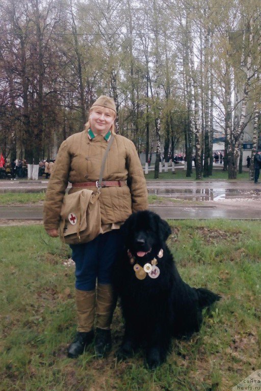 Фото: ньюфаундленд Русская Красавица Нюра