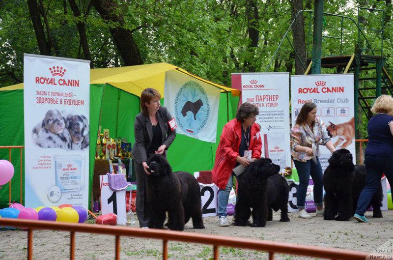 Фотография № 224601