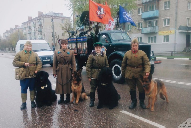 Фото: Елена Бажутина