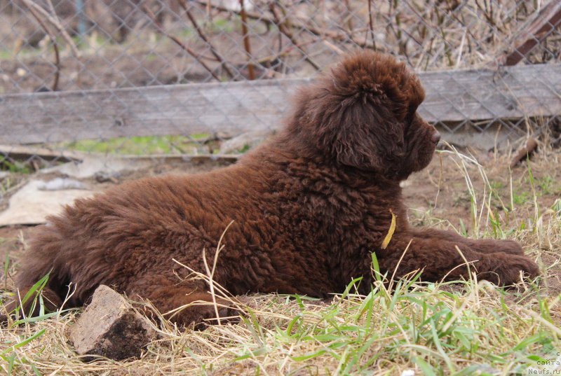 Фотография № 224609