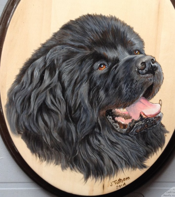 Фотография № 224613