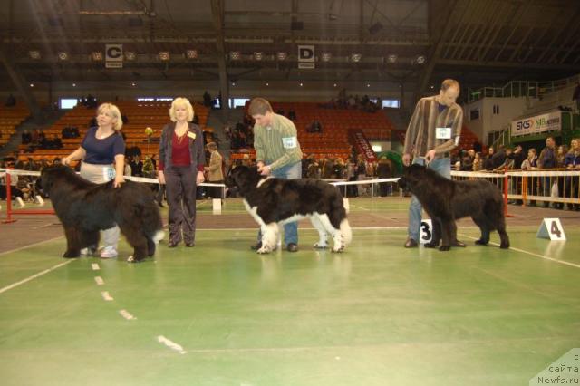 Фотография № 22462