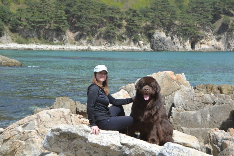 Фото: ньюфаундленд Акватория Келвин Риверданс (Aquatoriya Kelvin Riverdance)