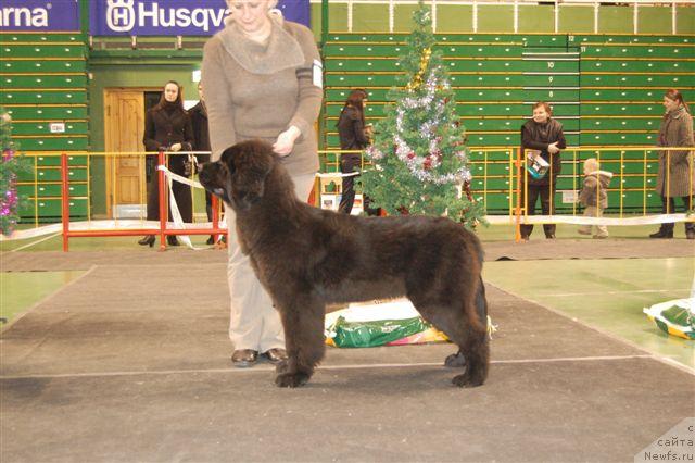 Фотография № 22464