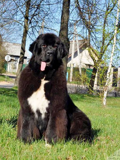 Фотография № 224654