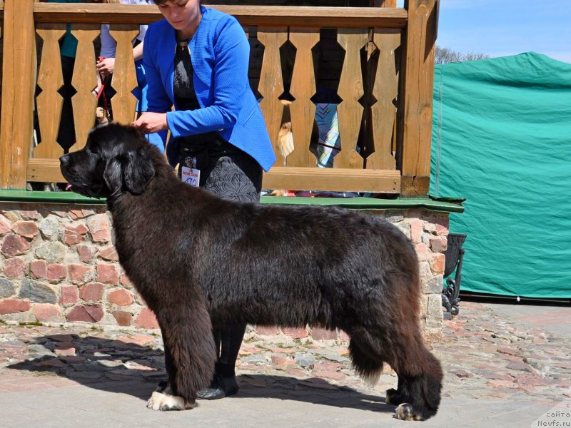 Фотография № 224655