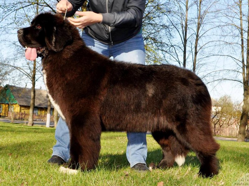 Фотография № 224656