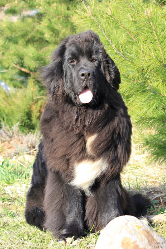 Фотография № 224657